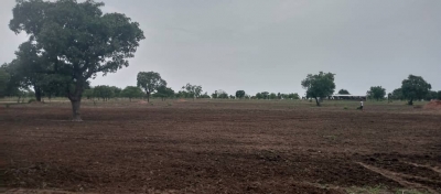 Labour du périmètre maraîcher à Fada